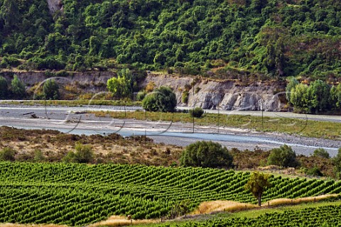 Tupari Vineyard above the Awatere River planted with Sauvignon Blanc which is contracted to Greywacke Seddon Marlborough New Zealand  Awatere Valley