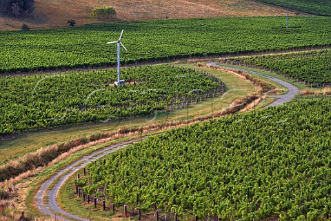 Wind machines in The Nineteenth Vineyard of the Sutherland Family  Fairhall Marlborough New Zealand  Ben Morven Valley