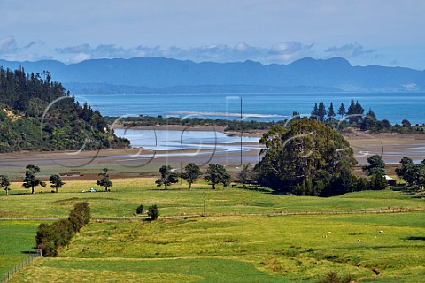 View over Golden Bay from the viewing platform at The Grove Scenic Reserve Takaka Nelson Tasman New Zealand