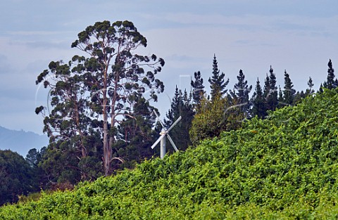 Wind machine in Rawiri Vineyard Omaka Valley Marlborough New Zealand