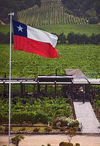 Chilean flag outside Fuego de Apalta restaurant in the vineyards of Montes Apalta Colchagua Valley Chile
