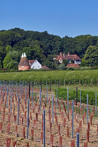 Oast House Meadow vineyard of Hush Heath Estate with the oast house and manor house beyond and new vineyard in foreground Staplehurst Kent England