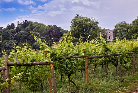 Sharpham House viewed from Sharpham Vineyard Ashprington Devon England