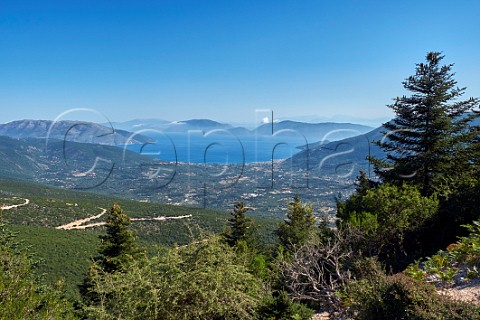 Cephalonia Pine trees in Mount Aenos National Park with Sami Bay in distance Cephalonia Ionian Islands Greece