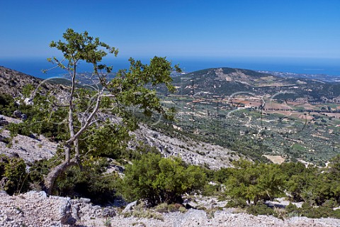Omala Valley viewed from Mount Aenos Agios Gerasimos Monastery and Robola Wine Cooperative winery and vineyards Cephalonia Ionian Islands Greece