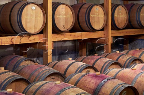 Barrel cellar of Sclavos winery Lixouri Paliki Peninsula Cephalonia Ionian Islands Greece