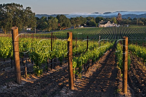 Summerwood Winery and Inn viewed over Hope Family Wines vineyard Paso Robles San Luis Obispo County California   Paso Robles Templeton Gap District