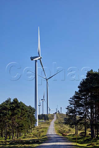 Wind farm on ridge at Alto de la Casa del Puerto altitude 1025m Near Tineo  Asturias Spain