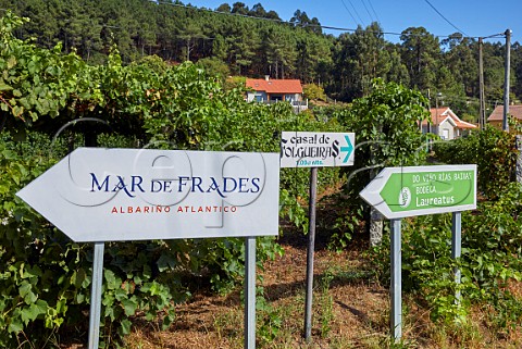 Road signs to wineries Meis Galicia Spain  Val do Salns  Ras Baixas