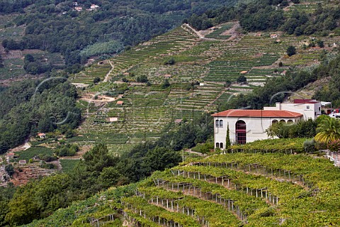 Winery and pergolatrained Albario vineyard of Abada da Cova above the Ro Mio Near Escairn Galicia Spain Ribeira Sacra  subzone Ribeiras do Mio