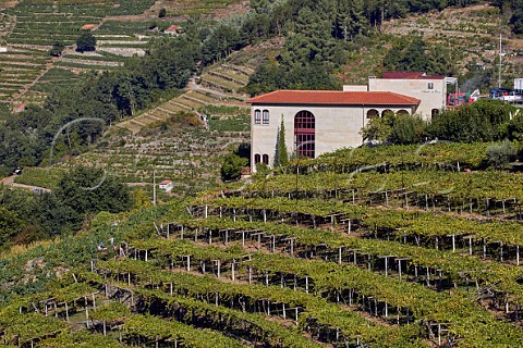 Winery of Abada da Cova with pickers in pergolatrained Albario vineyard Near Escairn Galicia Spain Ribeira Sacra  subzone Ribeiras do Mio