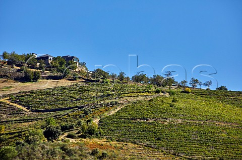 Adega Ladeira da Mata above terraced vineyard and the valley of the Ro Bibei A Mata Galicia Spain  Ribeira Sacra  subzone QuirogaBibei