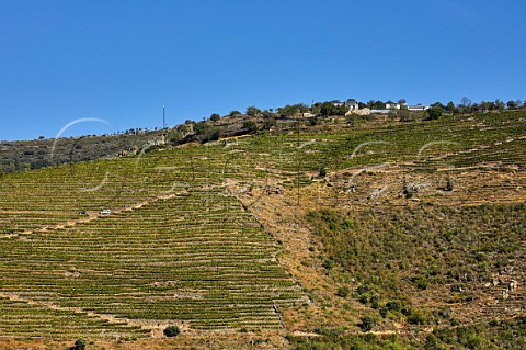 Adega Ladeira da Mata above terraced vineyard and the valley of the Ro Bibei A Mata Galicia Spain  Ribeira Sacra  subzone QuirogaBibei