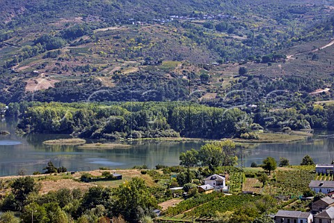 Vineyards in the valley of the Ro Sil at A Ra Galicia Spain Valdeorras