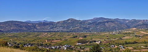 Vineyard panorama viewed westwards from the Roman settlement of Castro Bergidum  Valtuille de Abajo Castilla y Len Spain  Bierzo
