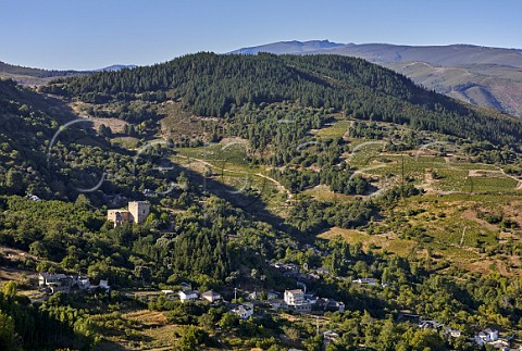 Castillo de Corulln with vineyards on the hillside beyond Corulln Castilla y Len Spain  Bierzo