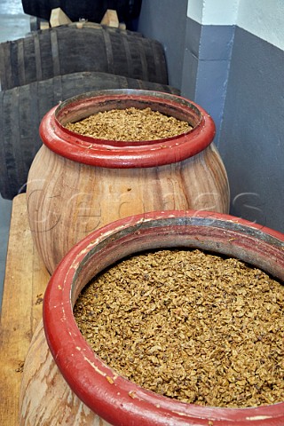 Grapeskin cap on amphorae of fermenting Godello in winery of Mengoba The sherry butts are also used to age Godello San Juan de Carracedo Castilla y Len Spain  Bierzo