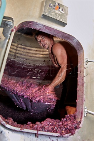 Grgory Perez shovelling the grapeskins from a tank after fermentation so that they can be pressed Winery of Mengoba San Juan de Carracedo Castilla y Len Spain  Bierzo