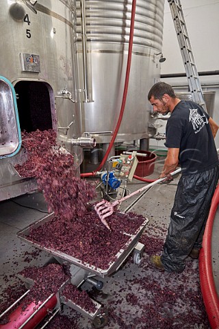 Shovelling the grapeskins from a tank after fermentation so that they can be pressed Winery of Mengoba San Juan de Carracedo Castilla y Len Spain  Bierzo