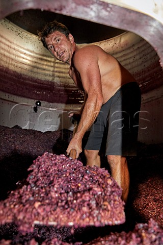 Grgory Perez shovelling the grapeskins from a tank after fermentation so that they can be pressed Winery of Mengoba San Juan de Carracedo Castilla y Len Spain  Bierzo
