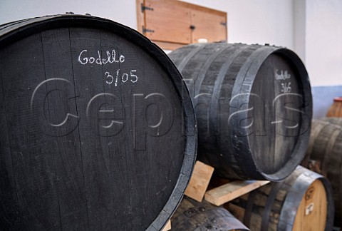 Sherry butts used for ageing Godello in winery of Mengoba San Juan de Carracedo Castilla y Len Spain  Bierzo