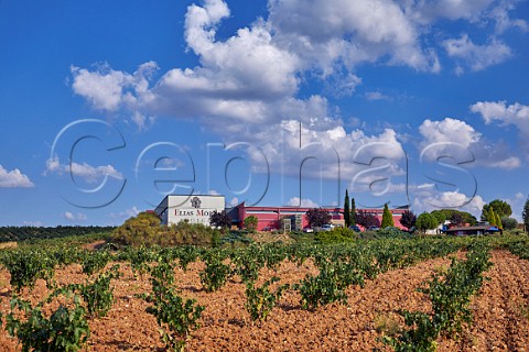 Bodegas Elias Mora and Tinta de Toro vineyard San Romn de Hornija Castilla y Len Spain  Toro