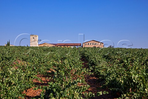 Bodega Liberalia viewed over its vineyard Toro Castilla y Len Spain Toro