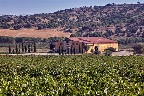 Bodega ViaGuarea viewed over its Tinta de Toro vineyard Villabuena del Puente Castilla y Len Spain Toro