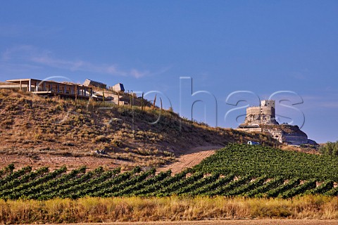 Vineyard and winery of Vivaltus with the Castillo de Curiel beyond Near Peafiel Castilla y Len Spain  Ribera del Duero
