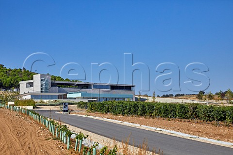 Winery and vineyard of Bodegas Aalto Quintanilla de Arriba Castilla y Len Spain Ribera del Duero