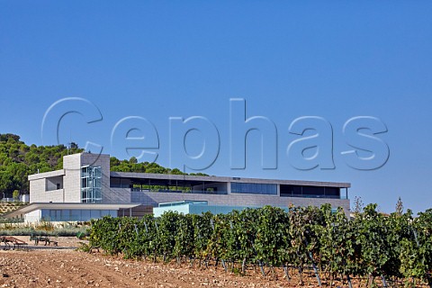 Winery and vineyard of Bodegas Aalto Quintanilla de Arriba Castilla y Len Spain Ribera del Duero