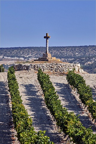 Stone cross in vineyard near Quintanilla de Arriba Castilla y Len Spain Ribera del Duero