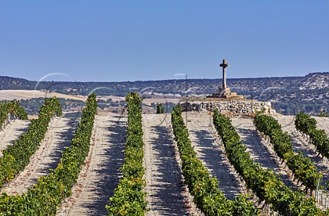 Stone cross in vineyard near Quintanilla de Arriba Castilla y Len Spain Ribera del Duero