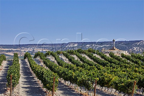 Stone cross in vineyard near Quintanilla de Arriba Castilla y Len Spain Ribera del Duero