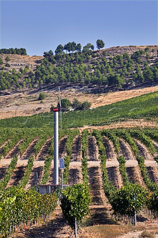 Wind machine in vineyard of Pago de Carraovejas Peafiel Castilla y Len Spain  Ribera del Duero