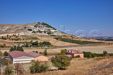 Bodegas Virtus at Aldeayuso Near Peafiel Castilla y Len Spain Ribera del Duero