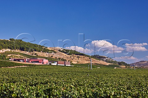Winery and vineyards of Pago de Carraovejas Peafiel Castilla y Len Spain  Ribera del Duero