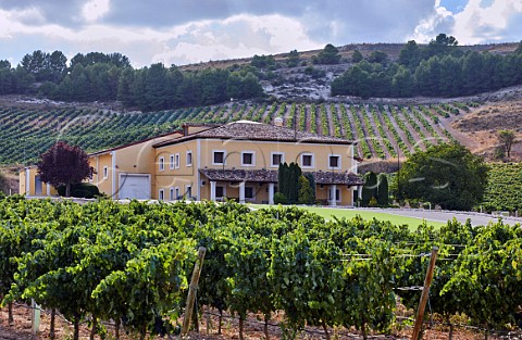 Bodegas Valpincia and its vineyards at Mlida Near Peafiel Castilla y Len Spain  Ribera del Duero