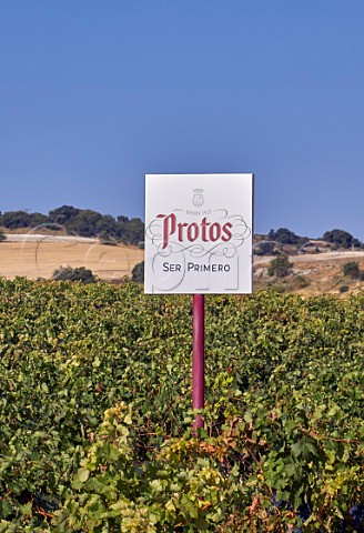 Sign in vineyard of Bodegas Protos near Pesquera de Duero Castilla y Len Spain  Ribera del Duero