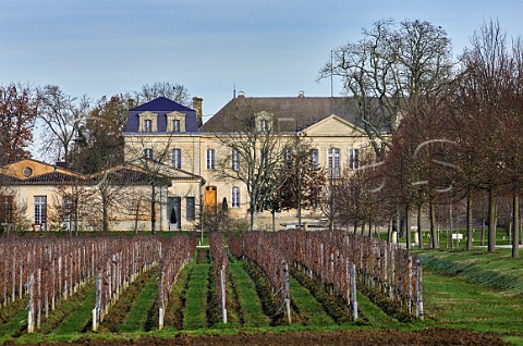 Vineyard in winter at Chteau Soutard  Saintmilion Gironde France Stmilion  Bordeaux