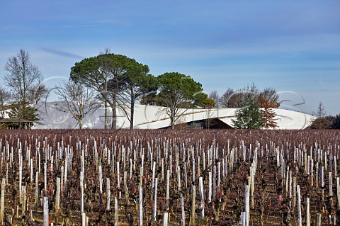 New chai of Chteau Cheval Blanc viewed over Cabernet Franc vineyard in winter  Saintmilion Gironde France Stmilion  Bordeaux