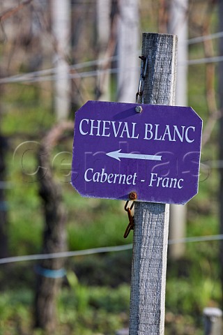 Sign in Cabernet Franc vineyard of Chteau Cheval Blanc  Stmilion Gironde France  Saintmilion  Bordeaux