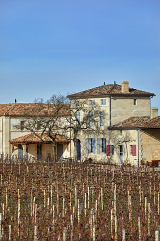 Chteau Lafleur and its vineyard in winter Pomerol Gironde France  Pomerol  Bordeaux