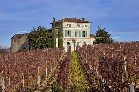 Winter vineyard on gravel soil at Chteau La FleurPtrus Pomerol Gironde France  Pomerol  Bordeaux