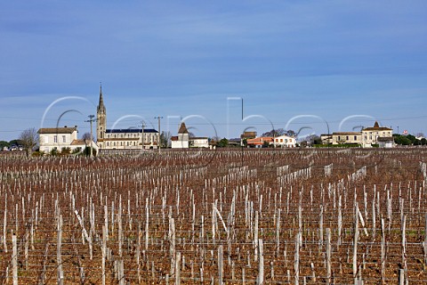 Village and vineyards of Pomerol in winter Gironde France  Pomerol  Bordeaux