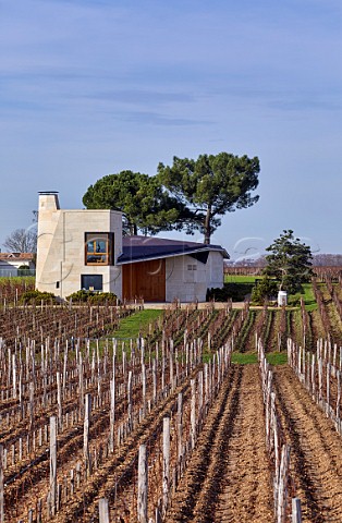 Chteau Le Pin and its Merlot vineyard in winter Pomerol Gironde France  Pomerol  Bordeaux