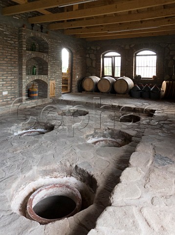 Qvevri in cellar of Gogi Dakishvili  Teleda Vita Vinea  Kondoli Valley near Telavi Georgia