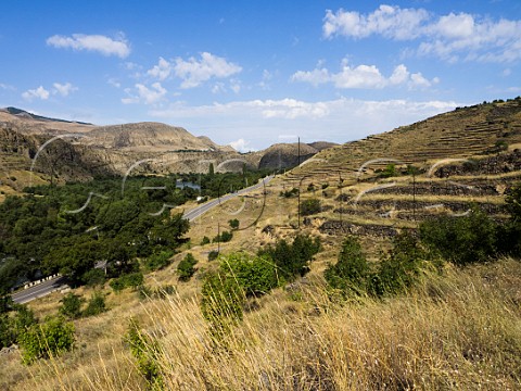 Ancient stoneterraced vineyards which are being replanted by Giorgi Natenadze Khizabavra Valley Georgia