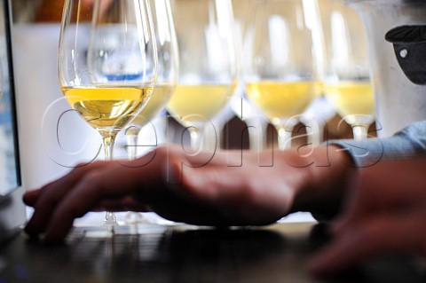 Typing notes during tasting of Sauternes wines  Bordeaux France