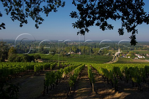 Vineyards at Loupiac Gironde France   Loupiac  Premieres Cotes de Bordeaux